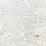 кракелюрная пара шеллак + гуммиарабик