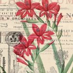 Бумага рисовая для декупажа "Винтажное письмо" 28х38 см