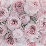 Салфетки бумажные для декупажа "Розовые розы"