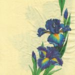 Салфетки бумажные для декупажа "Ирисы"