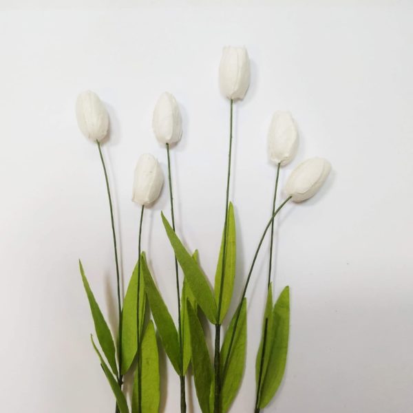 Тюльпан бумажный цвет белый
