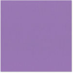 Кардсток текстурированный Bazzill Basics - Grasscloth Texture - Purple Pizzazz