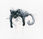 Набор для вышивания "Среди черных котов" 4
